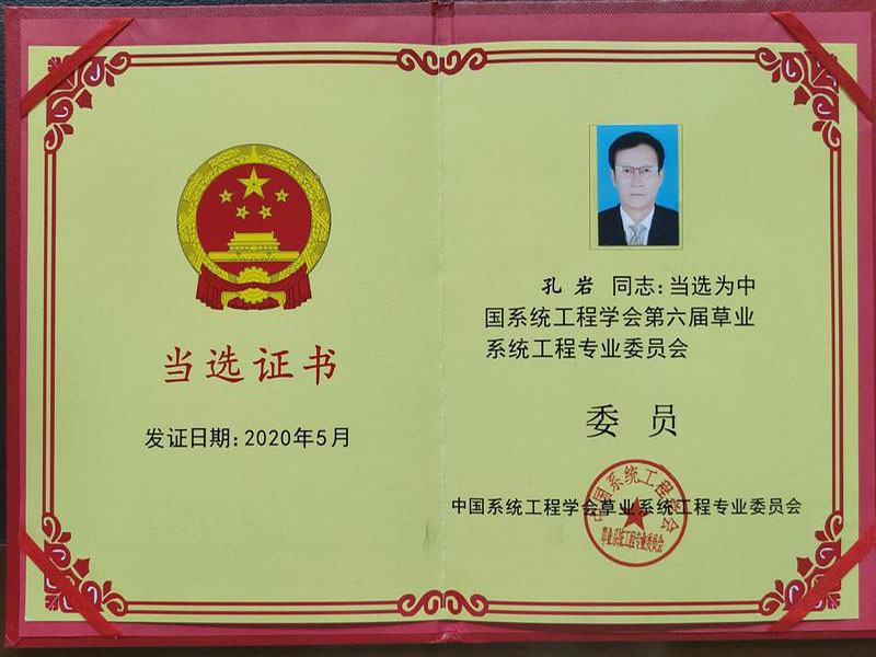 神龍食葉草品牌進入國家西部開發