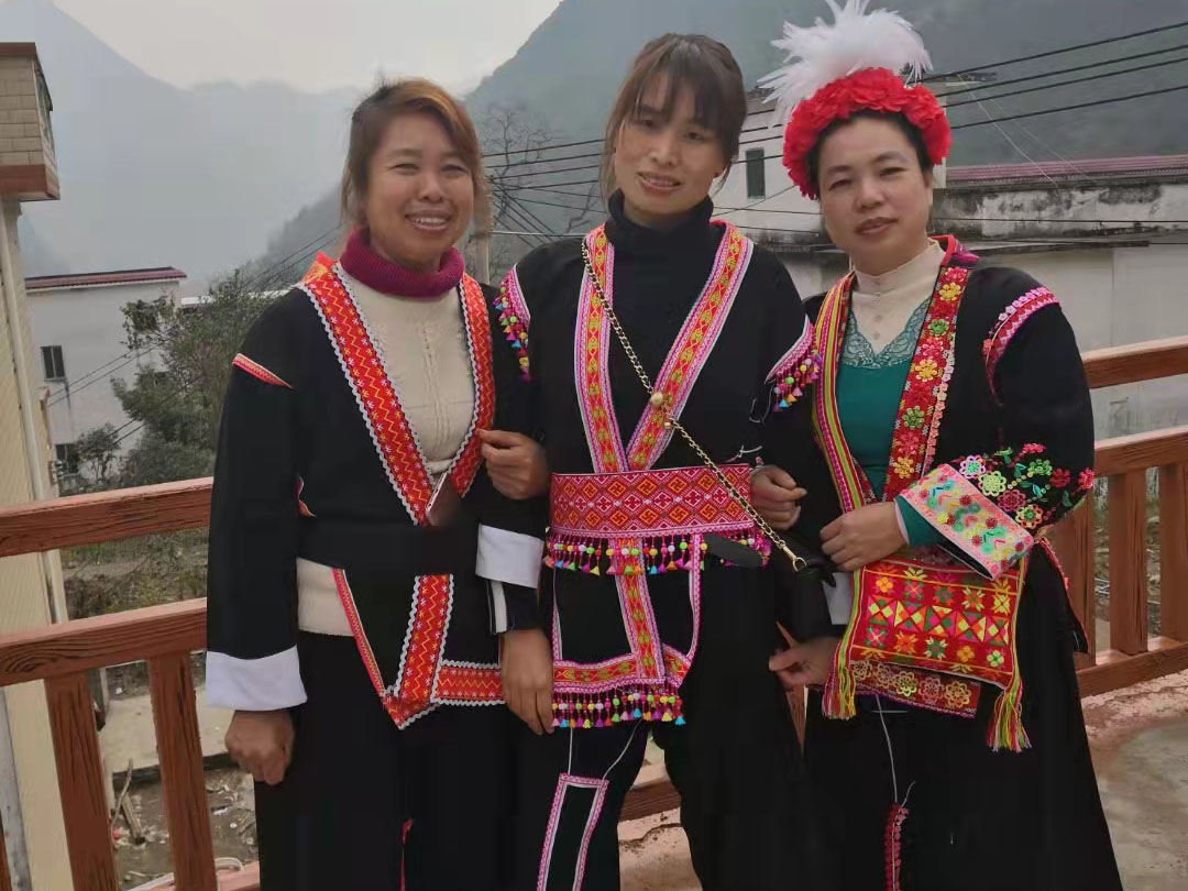 廣東連南瑤族自治縣食葉草種植基地生長情況、加工廠房、政府免費提供的廢棄學校、用電增容等設施